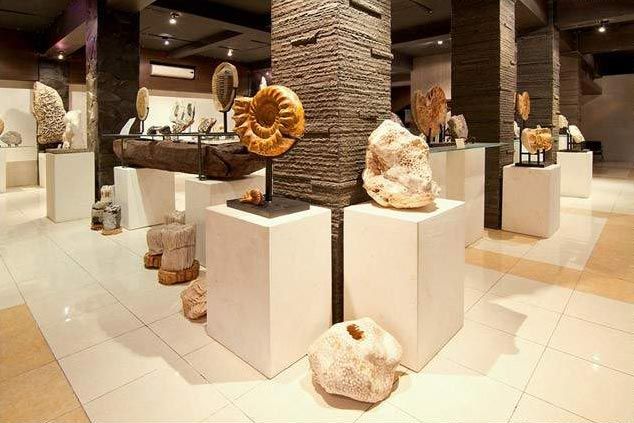 koleksi di Bali Shell Museum