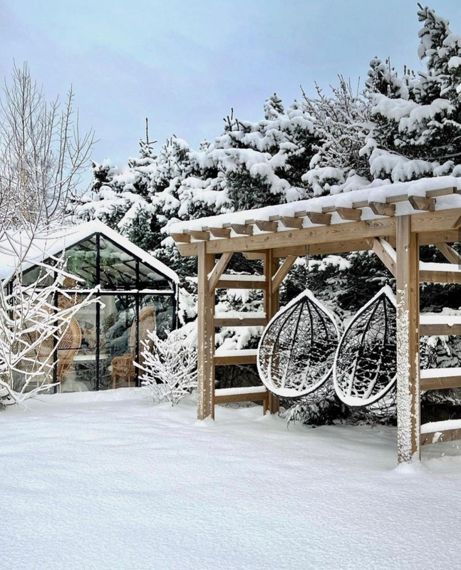 Screenshot_20231125_230859_Instagram