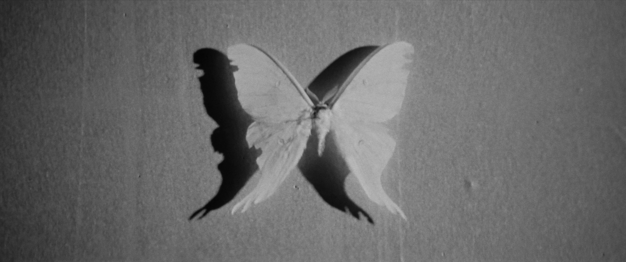 vlcsnap-2025-01-21-02h52m58s377