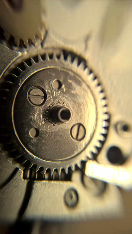 WP_20220307_08_47_32_Pro (копие)