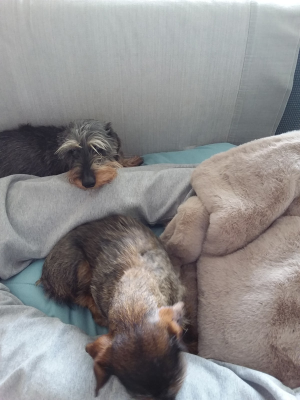 [Image: 20221225-142311.jpg]