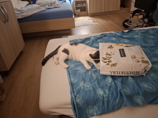 Slika