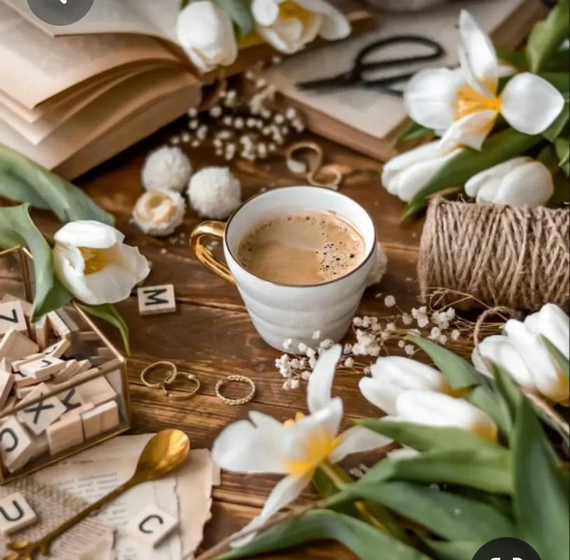 Screenshot_20230307_001318_Pinterest