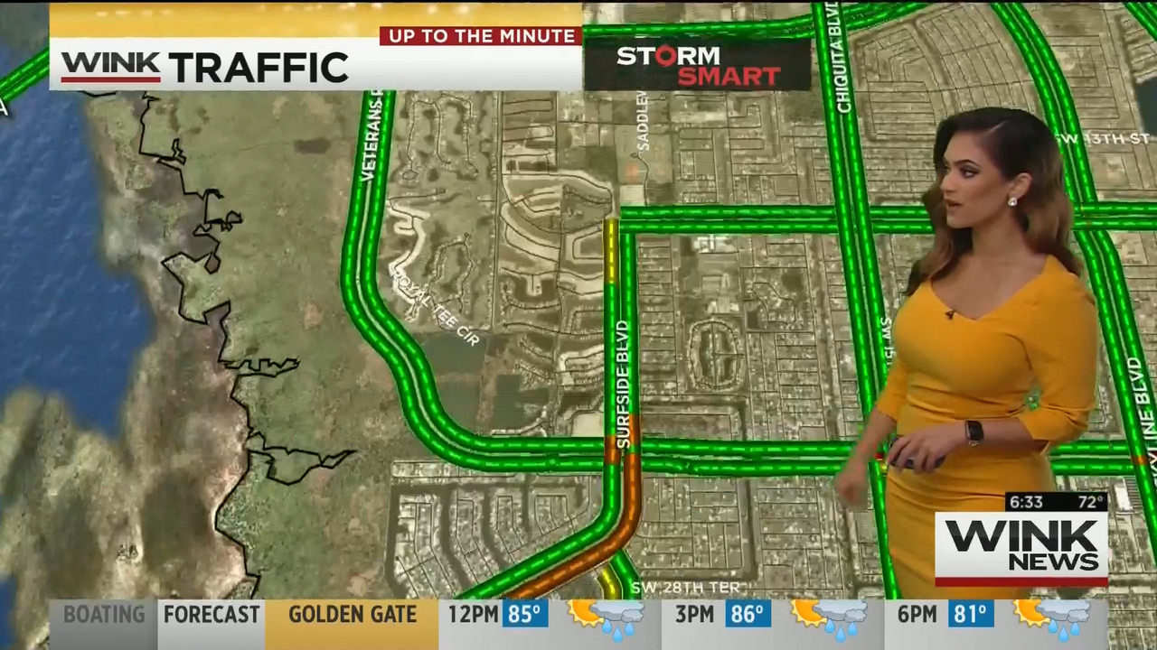 15 May - 11.00.00 - WINK News This Morning..ts_snapshot_15.30_[2020.05.15_23.35.10]