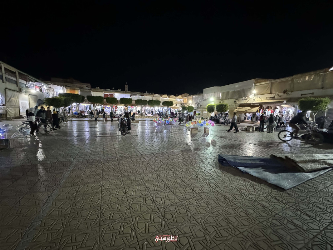 IMG-6267