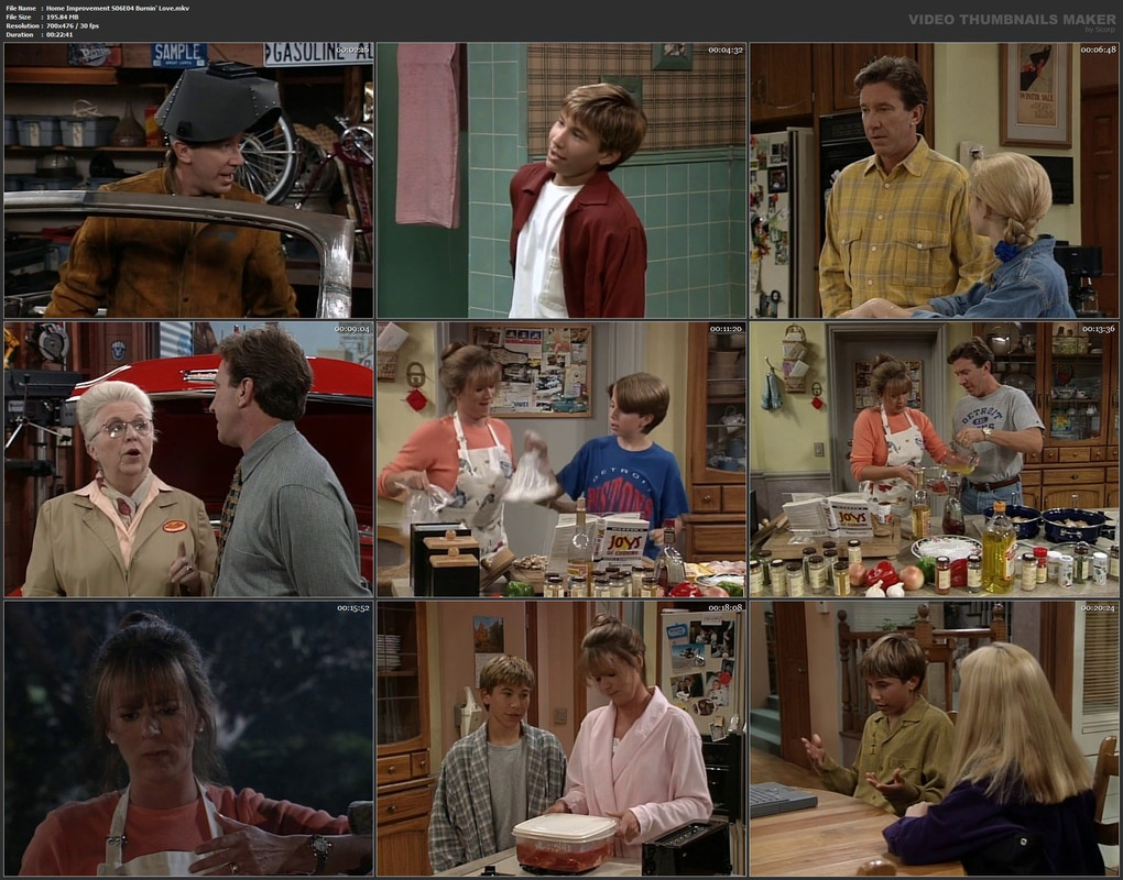 Home Improvement S06E04 Burnin' Love.mkv