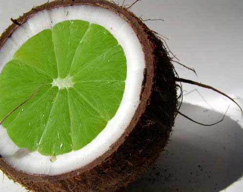limeinthecoconut