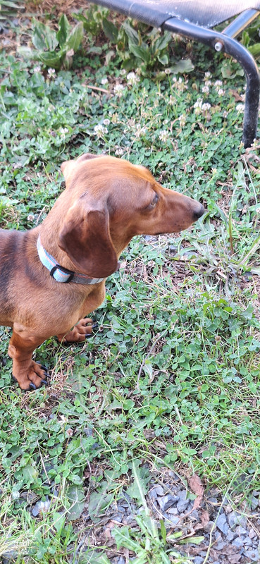 [Image: 20250628-191256.jpg]