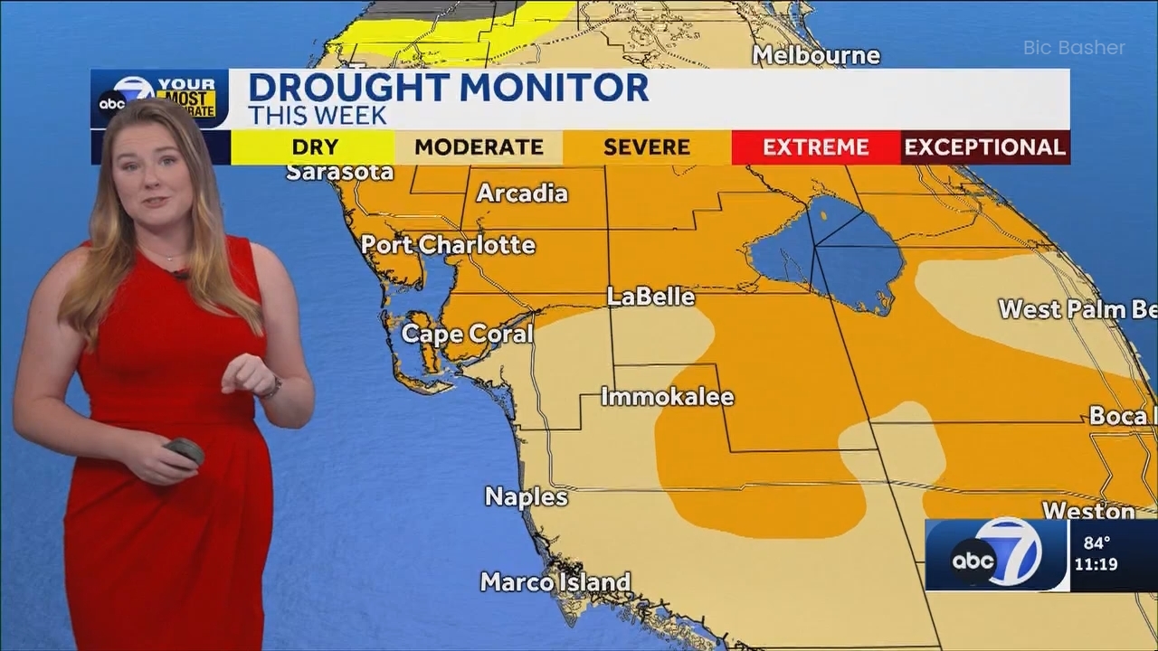06.09 - 04.00.00 - ABC7 News @ 11pm - Sa  ᴺᵉʷ. No Description Info.ts_snapshot_24.56.603