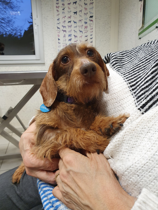 [Image: 20220218-184113.jpg]