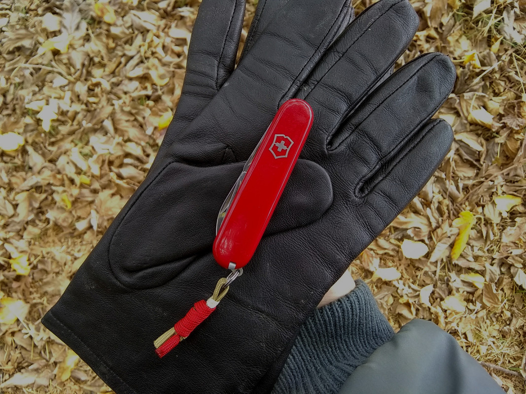 IMG_20171113_114446176