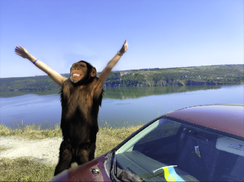 [Image: IMG-2870.png]