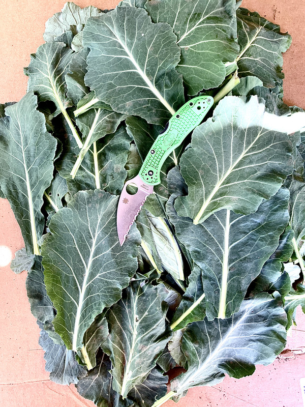 0B679BE4-4732-4354-99DE-F6B907A05554