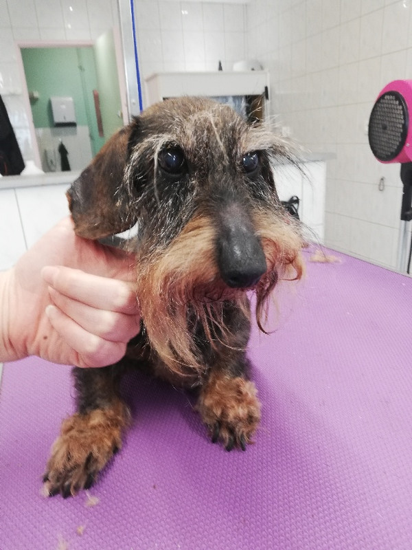 [Image: PART-1615905317204.jpg]