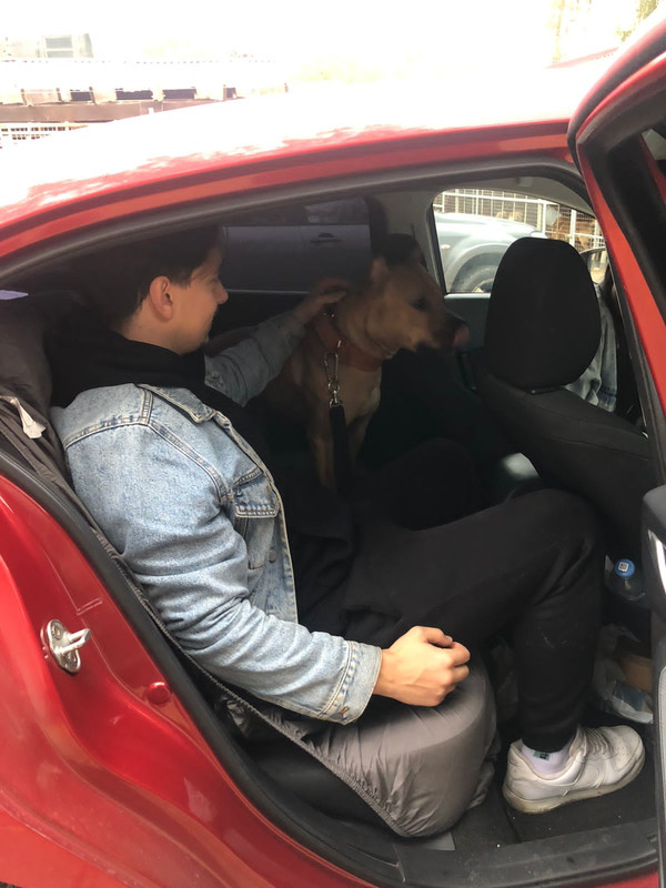 248237D2-9045-4607-9215-90322555684B