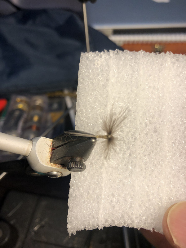 98E4D8BD-8B47-4C22-A5B7-75396953AA43