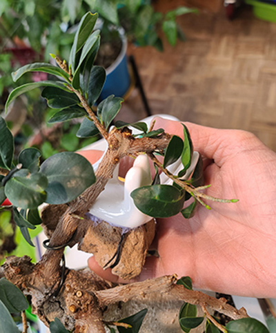 [Image: 20260321-110141.jpg]