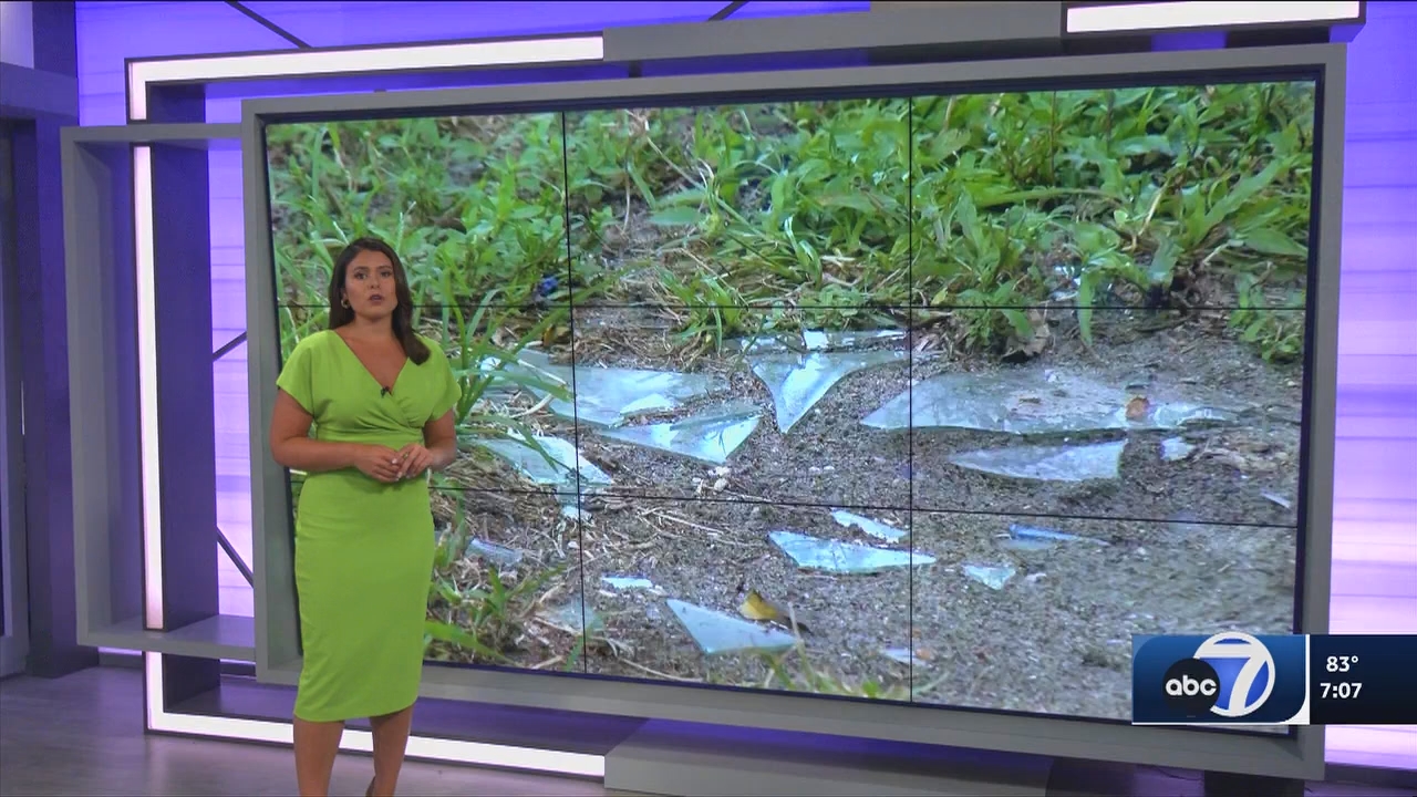 06.13 - 00.00.00 - ABC7 7O'Clock News  ᴺᵉʷ. No Description Info.ts_snapshot_09.05.748