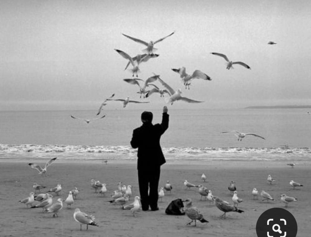 Screenshot_20231217_230623_Pinterest