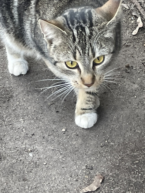 12402BDB-B881-4FEC-9F4C-B08972A7DA79