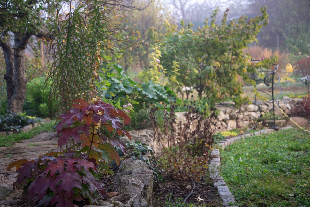 IMG-e0bd1bee763c8bc4d4ba1bd6917d8746-V