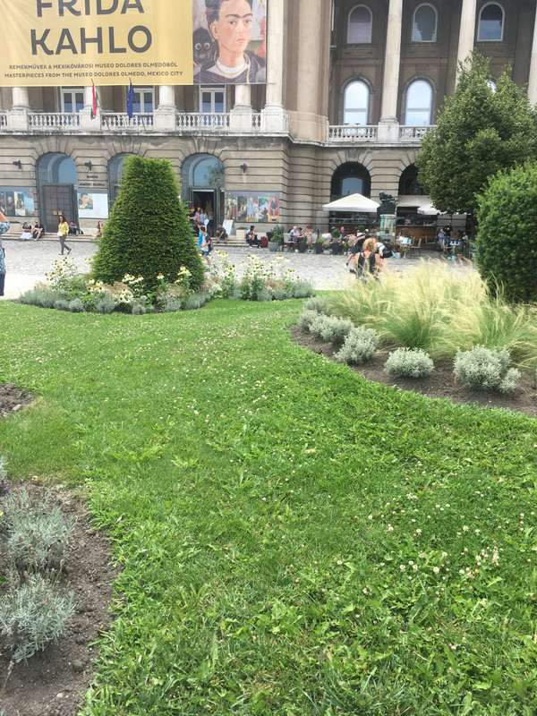 1FEA6B3A-05A3-47A1-8B31-73AB36FE8520