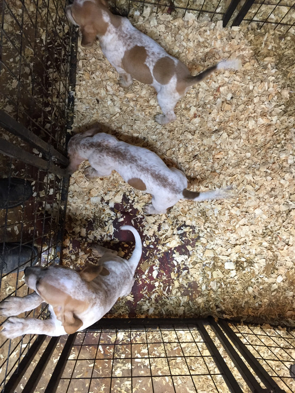 976E322D-2495-4F1B-B14E-CE921812DE23