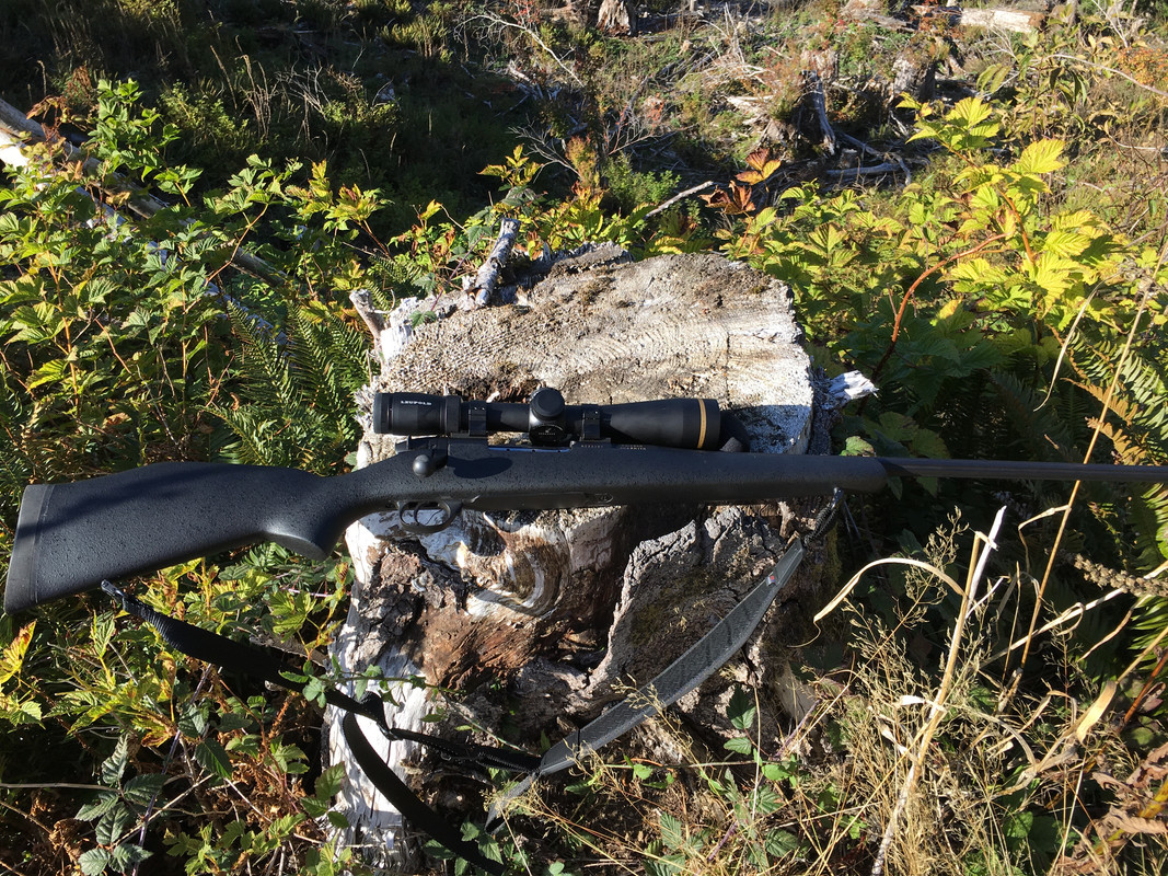 95982DC3-A534-4DAD-8BE8-643DC7CCA649