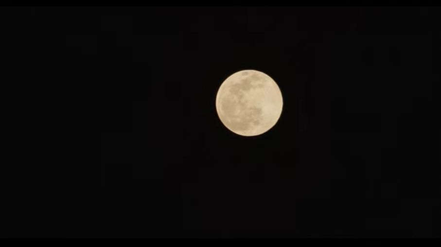 luna del verme tokyo giappone