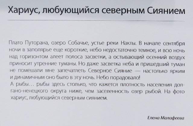 https://i.postimg.cc/rmMjh1KG/548-IMG-4974.jpg