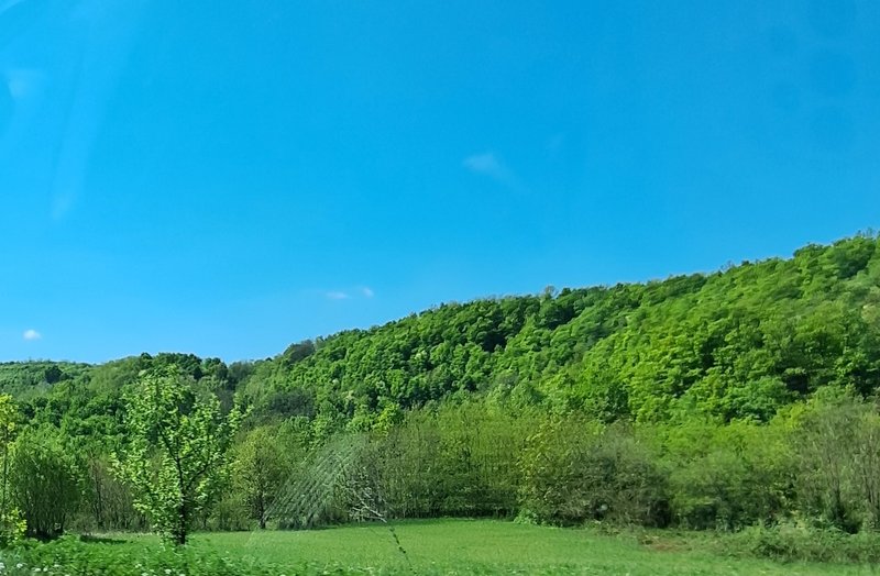 Slika