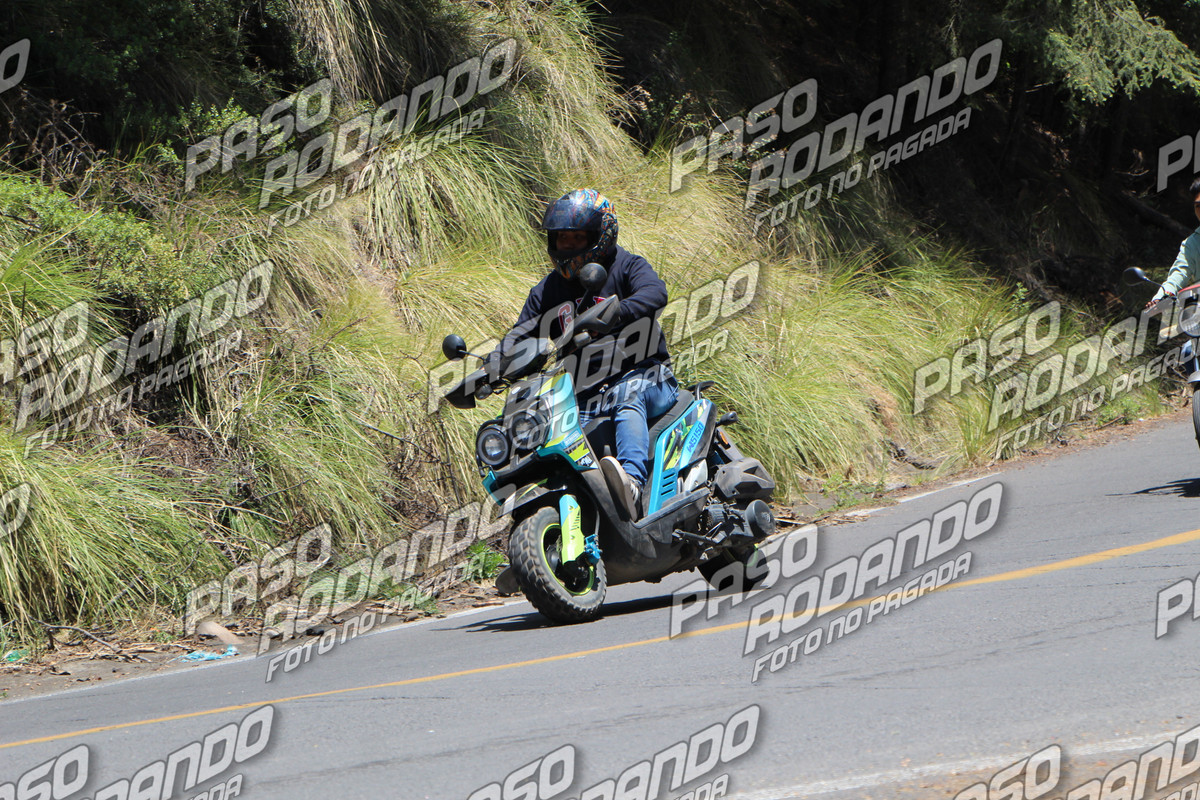 IMG 4835 wm 91934 5 watermarked — Postimages