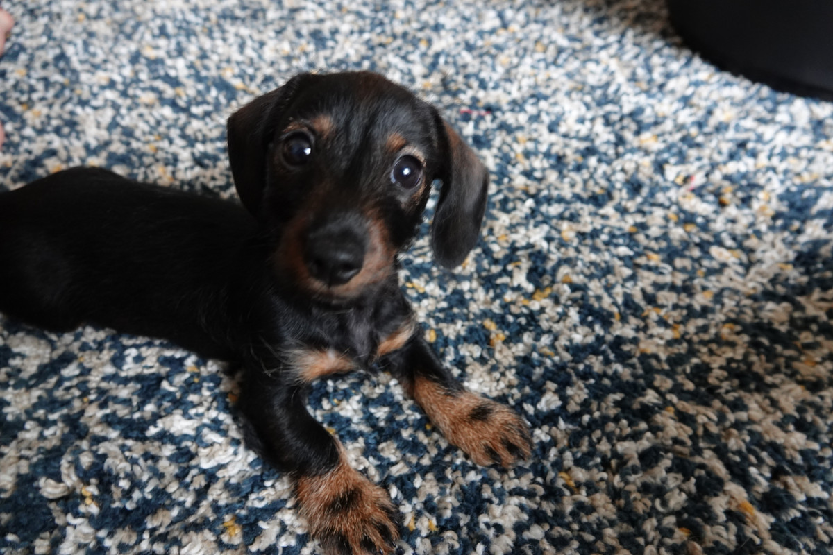 [Image: DSC01215.jpg]