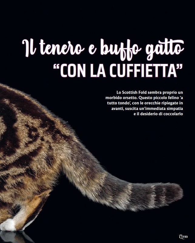 QuattroZampe Giu 2023 (12)