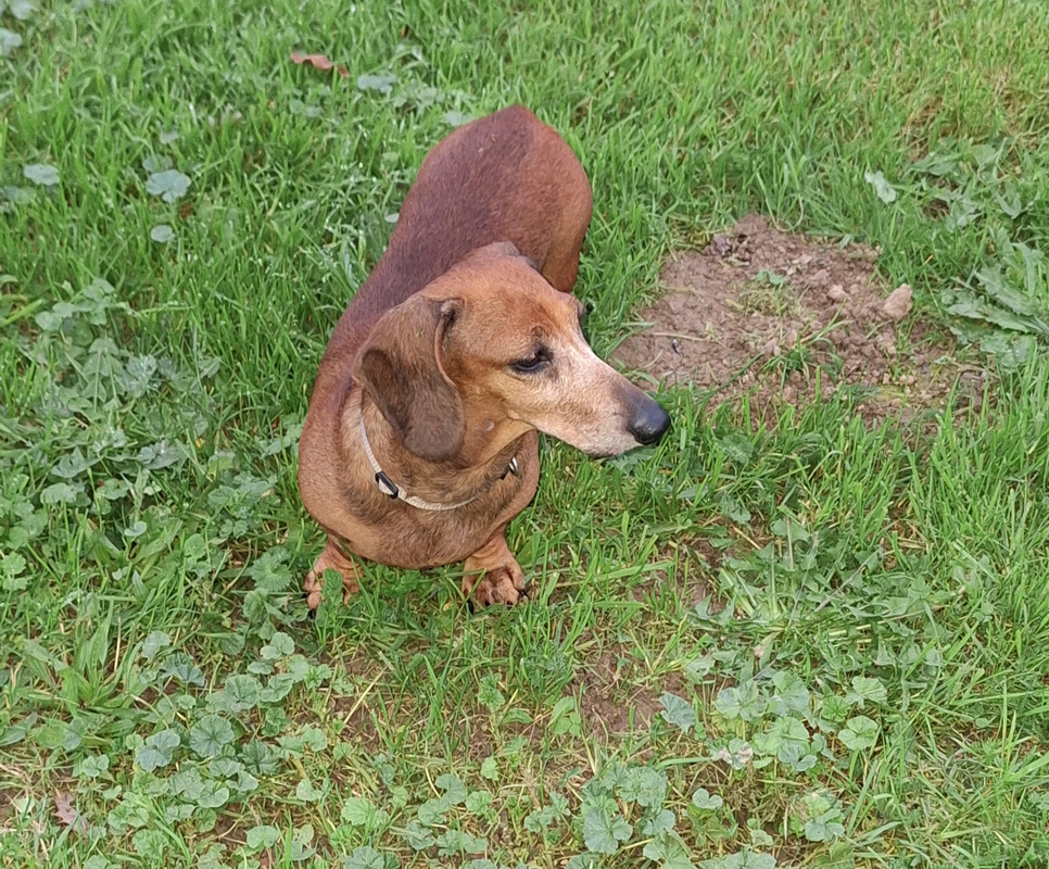 [Image: 20241109-173032.jpg]