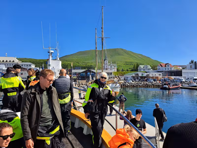 7/07/2025 BALLENAS EN HUSAVIK y RUTA CASCADAS HAFRAGILSFOSS, DETTIFOSS Y SELFOSS - 2º Viaje a la Tierra del Hielo y Fuego de 21 días (en construcción, con videos) (3)