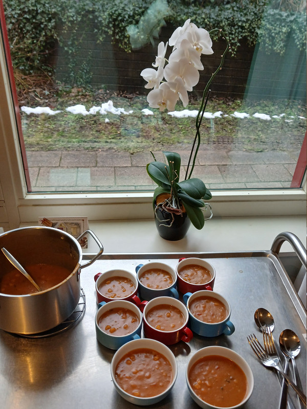 [Image: LVEG-STAMPOT-HETE-BLIKSUM-GOULASH-HONGROSE-260112B.jpg]