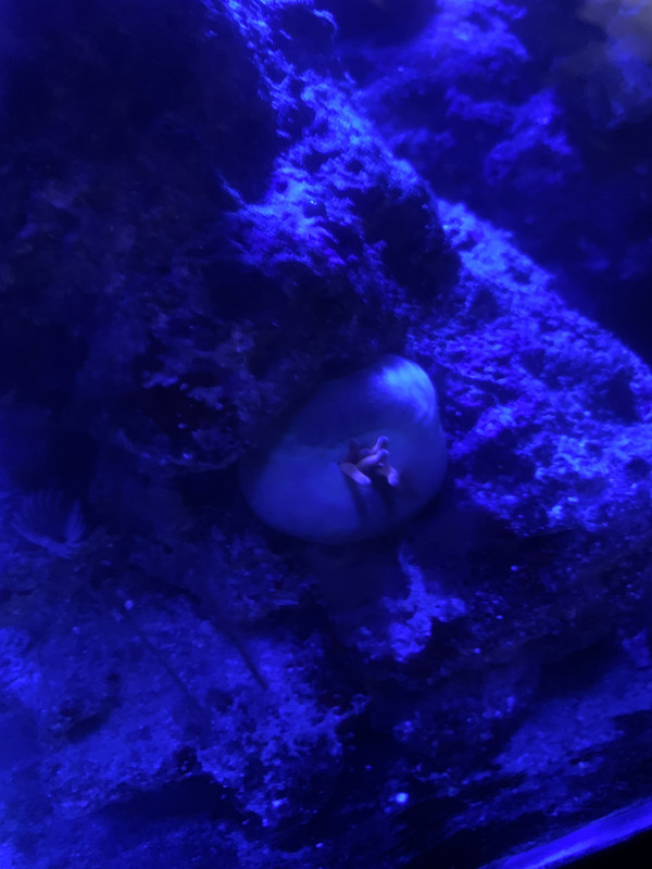 FBFBDD4F-2B72-40C0-9FFA-CFE9070E1F9A