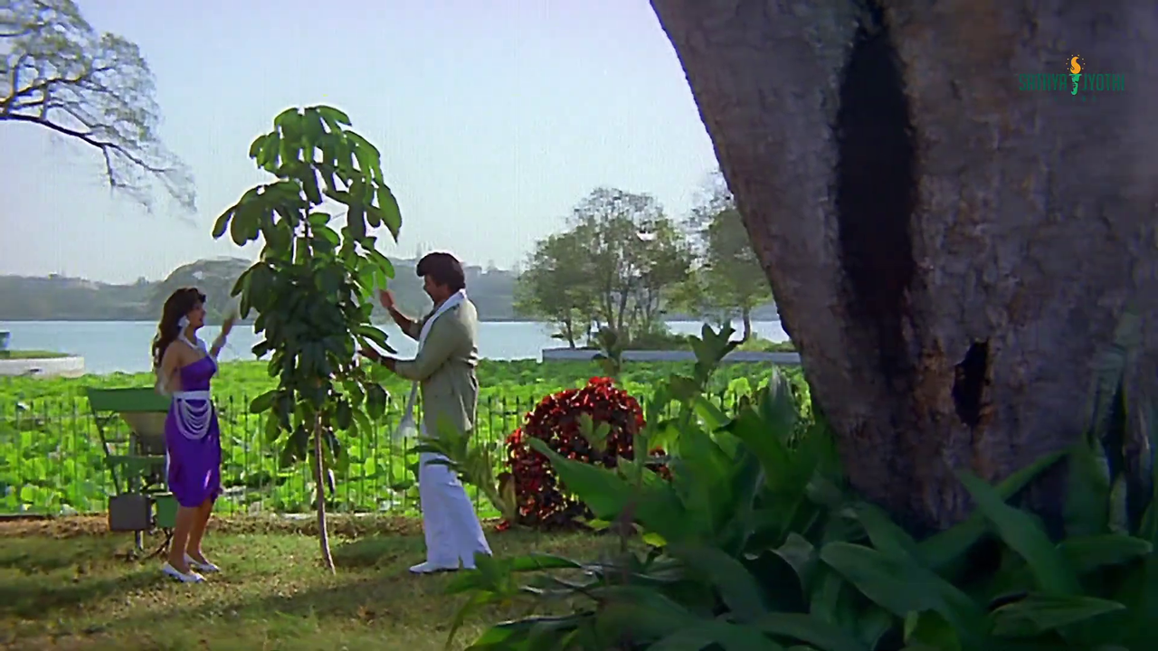 vlcsnap 2025 11 29 08h50m39s553