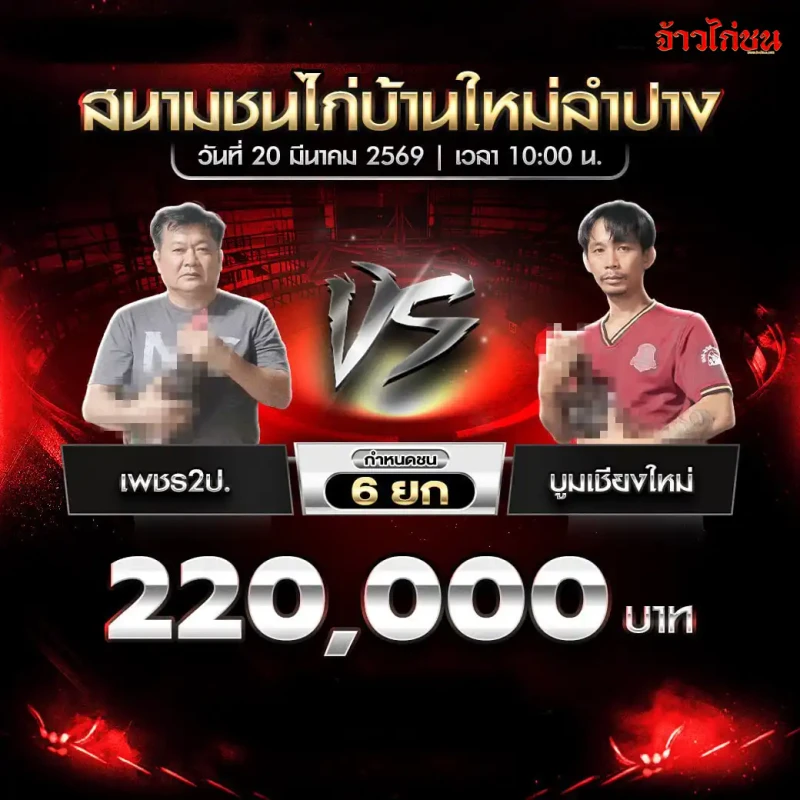 โปรแกรมไก่ชน คู่เพชร2ป. vs บูมเชียงใหม่ สนามชนไก่บ้านใหม่ลำปาง