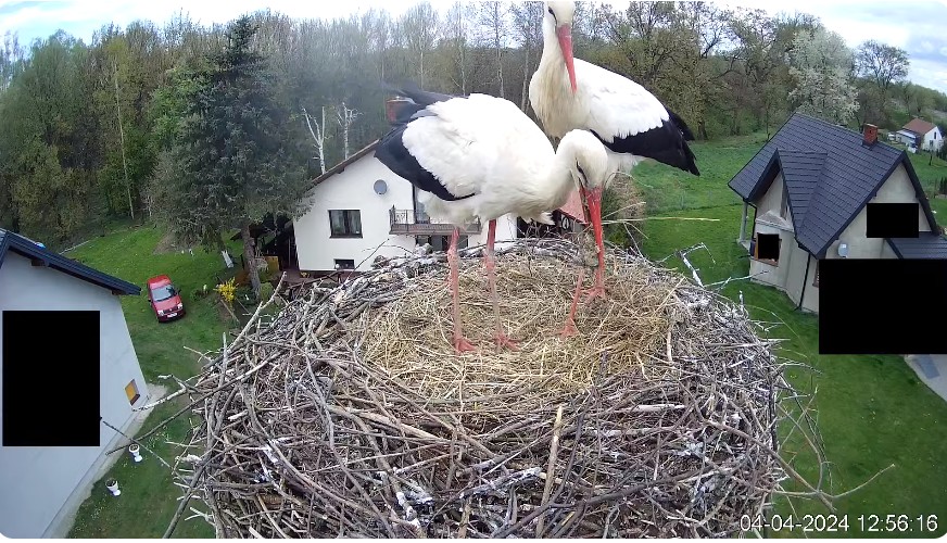 ScreenHunter_515 Apr. 04 13.29