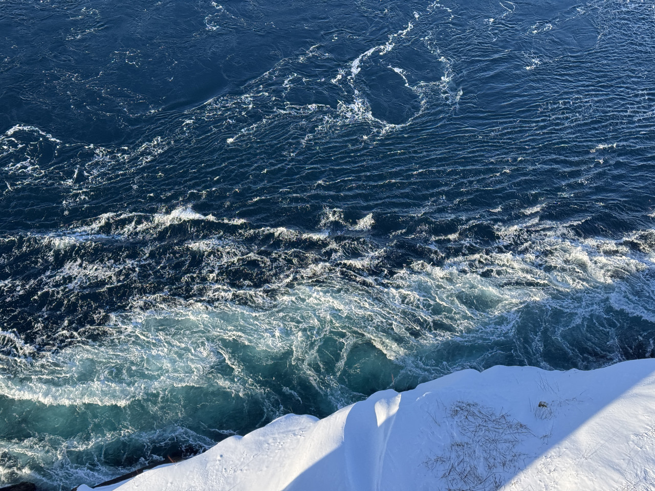 [Immagine: IMG-8982.jpg]