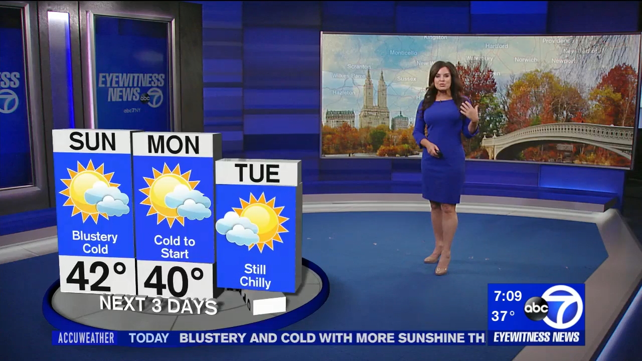 12.06 - 11.00.00 - Eyewitness News Sunday Morning..ts_snapshot_10.32.374