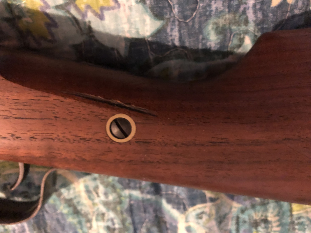 [Image: FFDCD228-%20...%20454-BE.jpg]