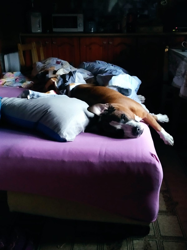 51A81B52-6590-4C37-8E4D-D1E3251E9BF8