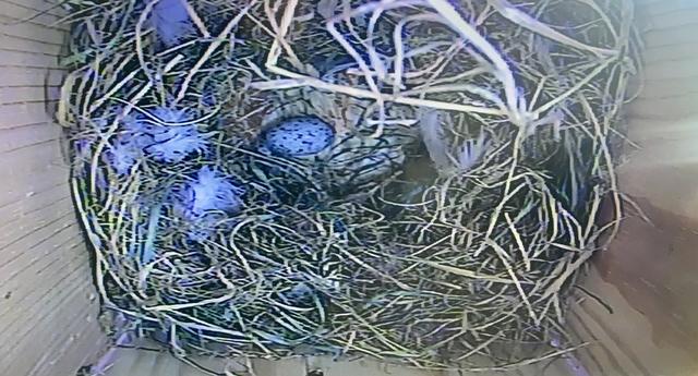 EE7AC4E9-F5AF-4736-A63C-CEC0B698A09B