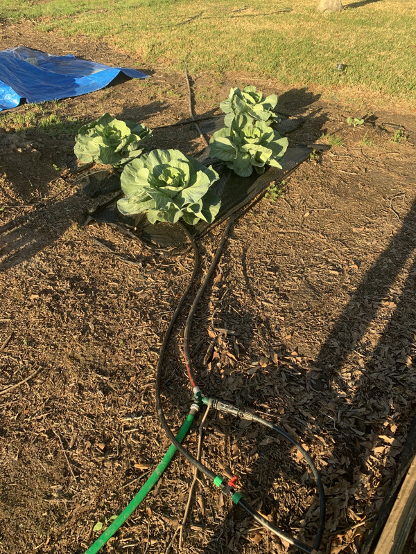 EFBD8C08-B149-4C1E-BD66-C2AF52A0A2B5