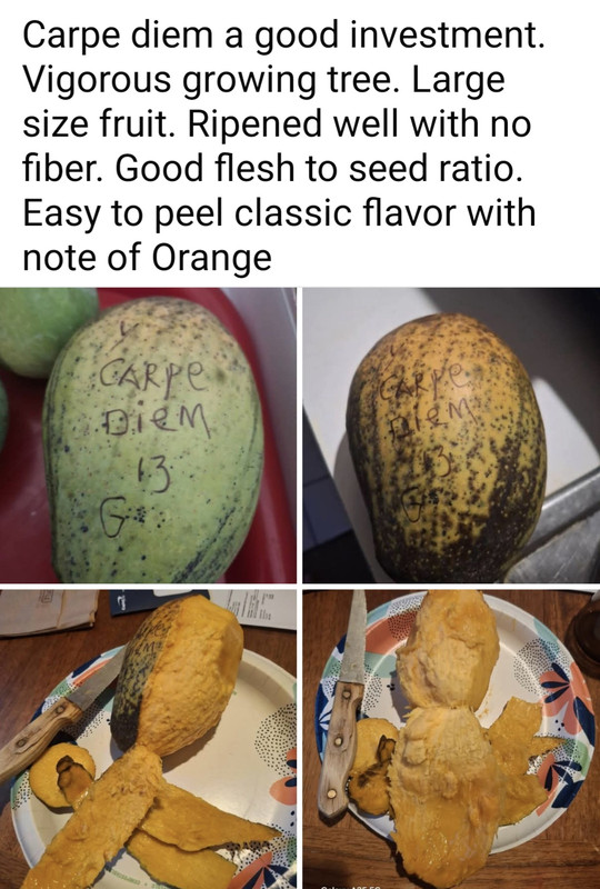 Screenshot_20250906_214303_Facebook