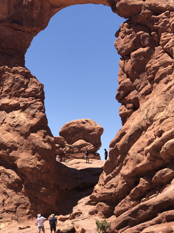 3CB52210-17DE-43CA-A024-7C8A179665D8