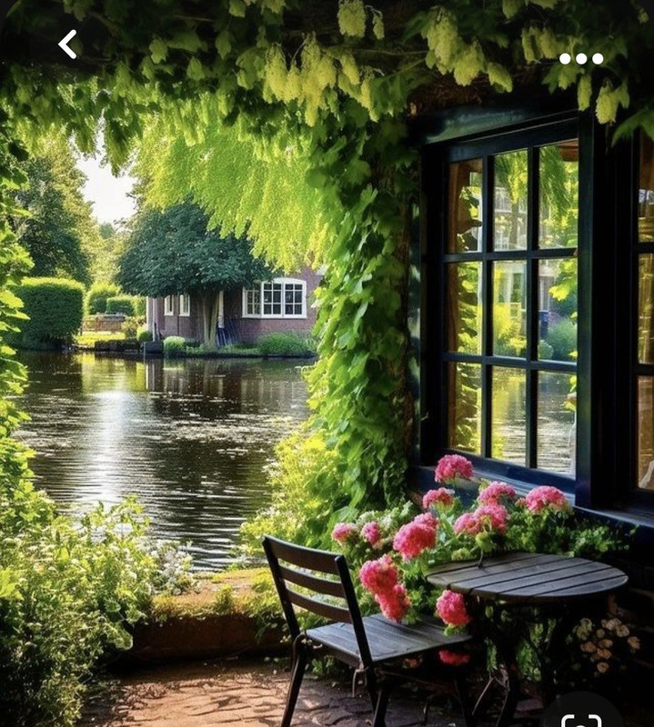 Screenshot_20231011_142536_Pinterest